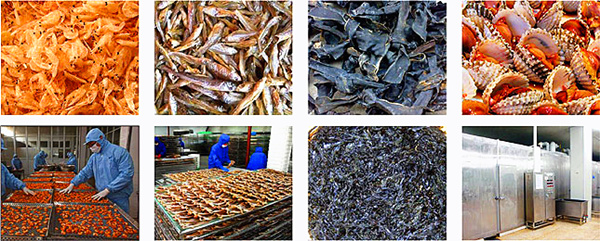 辣椒十大博彩网站排名适用范围