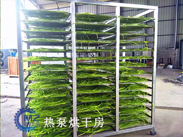 豆角热泵十大博彩网站排名客户现场