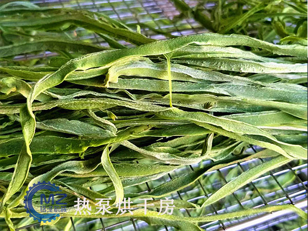 豆角热泵十大博彩网站排名客户现场