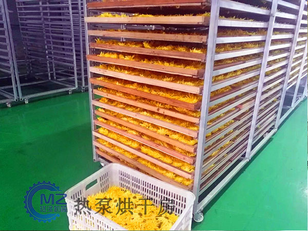 菊花十大博彩网站排名客户现场